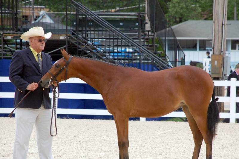 Raymond — A Legend of the Hunter Ring