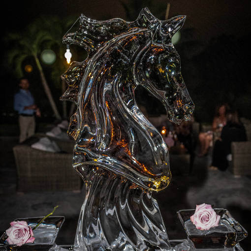 An Evening Celebrating Friends of the Foundation