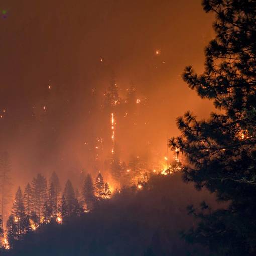 California Fire Season Disaster Relief