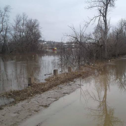 Paddock Master Pruning Funds for Horsemen