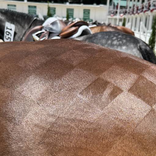 $5,000 EAF Grooms Classic by Shapley's