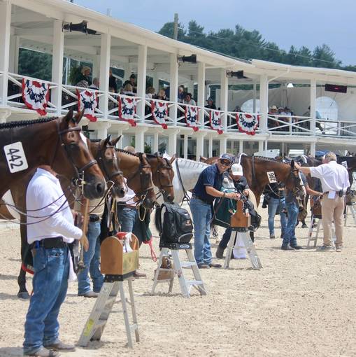 Tamayo and Villanueva Win EAF Grooms Class
