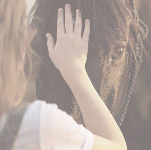 Disaster Relief Fund for Hurricane Ian