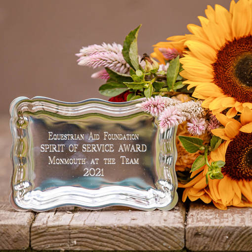 Spirit of Service Awards at Monmouth