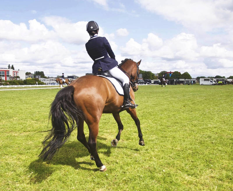 Horse Show Benefit Package — co-branded EAF event partnership